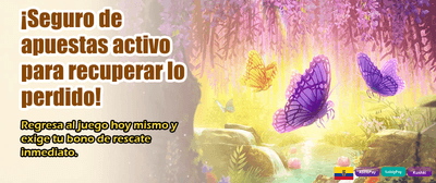 Tus mejores apuestas en Ecuador